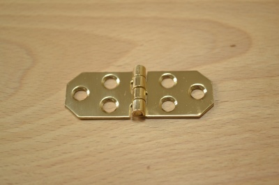 Decorative Polished Brass Hinges (pair)